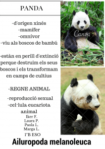 poster panda